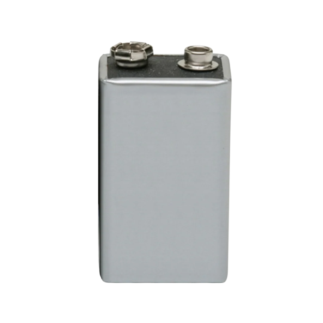 9V Battery Model 6LR61 for BodyGuard T (Box of 10)