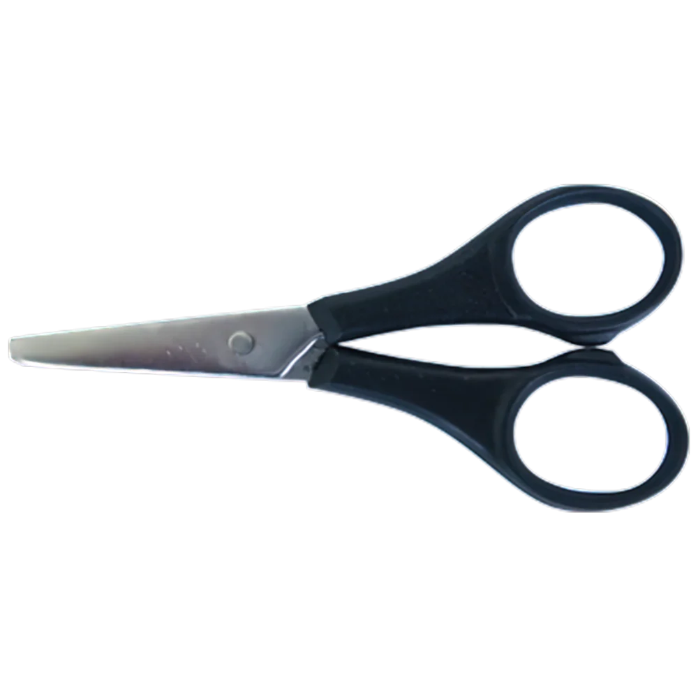 AEROINSTRUMENTS Stainless Steel Scissors with Plastic Handle 9cm (Box of 12)
